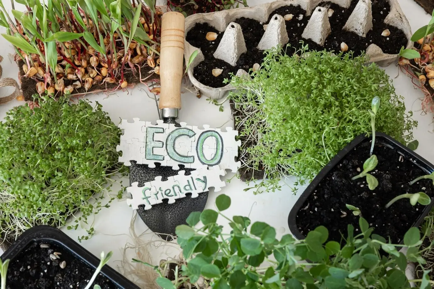 Keimung von Microgreens, Keimung von Samen zu Hause