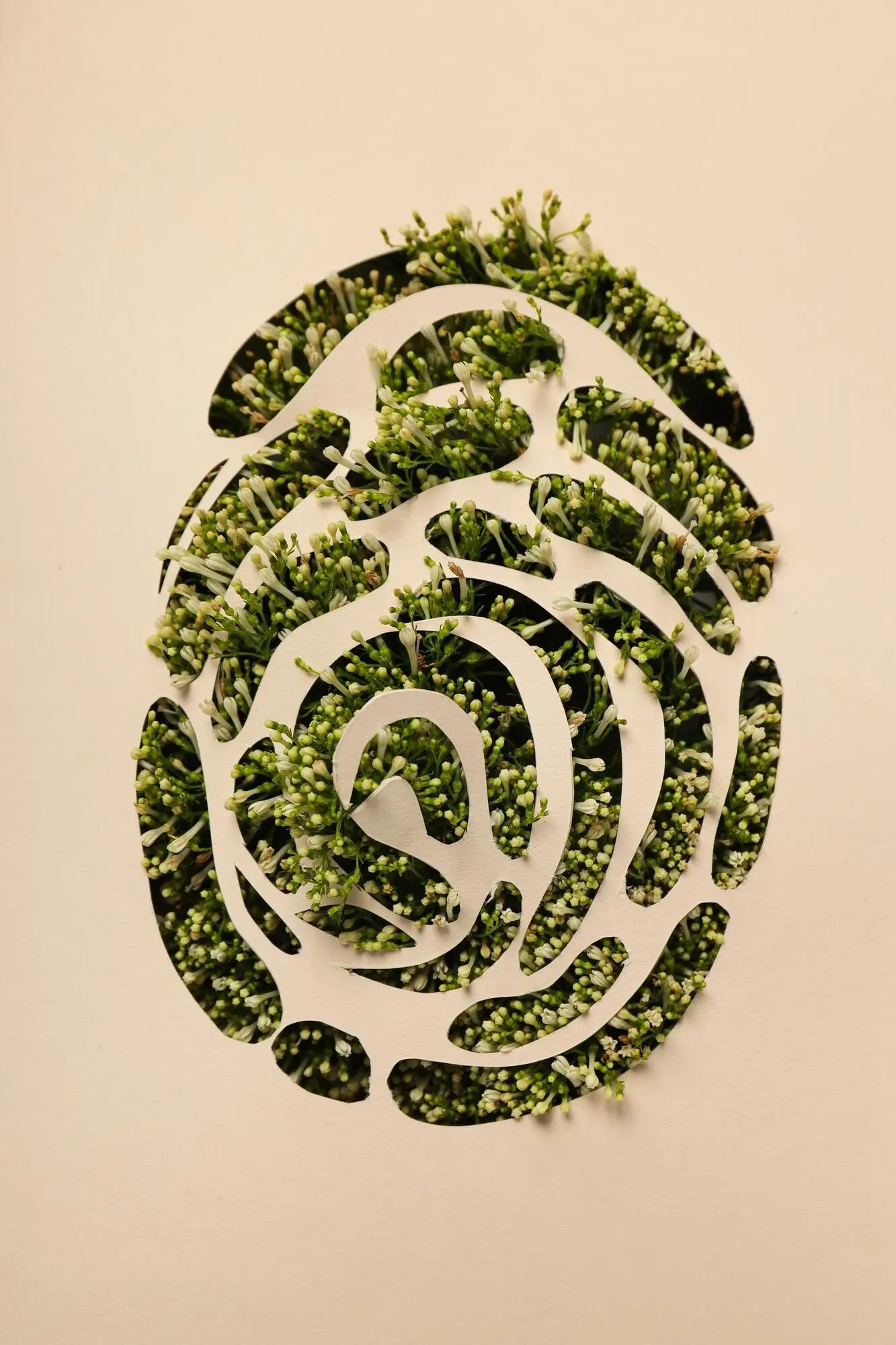 Umweltkonzept und Öko-Konzept zum Tag der Erde