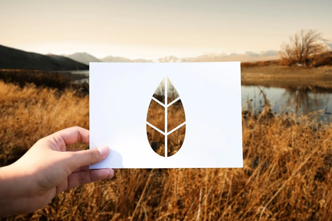 Rettet die Welt, Ökologie, Umweltschutz, perforiertes Papierblatt