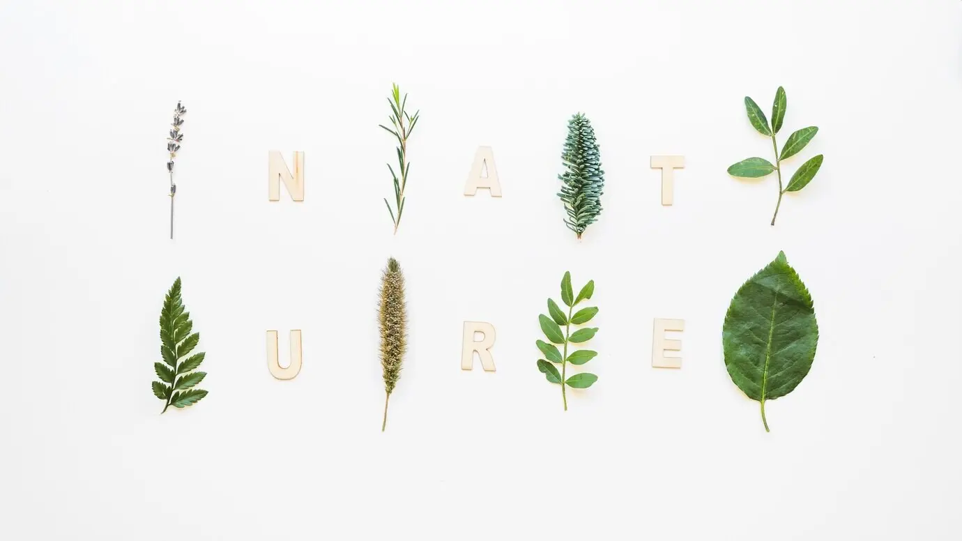 Anordnung aus acht unterschiedlichen Blättern